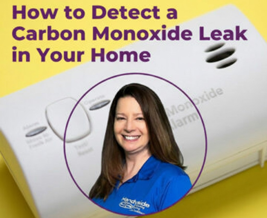 Carbon monoxide video