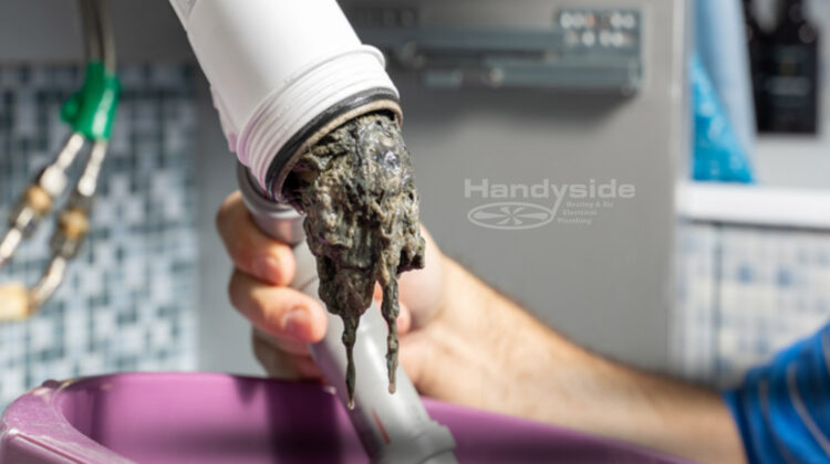 What you should know about drain backups