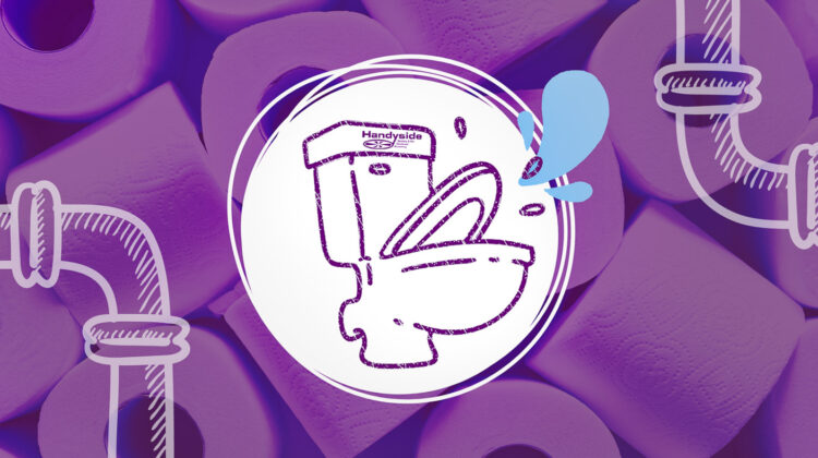 Expert plumbing services for household bathroom issues.